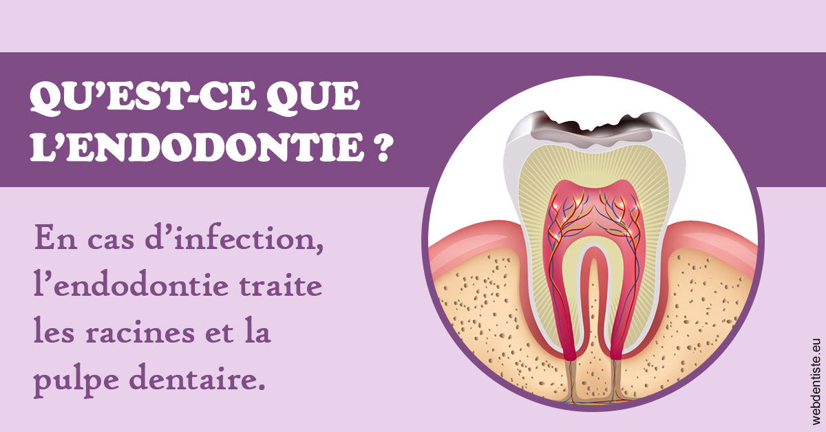 https://www.cabinet-orthodontie-oules.fr/2024 T1 - Endodontie 02